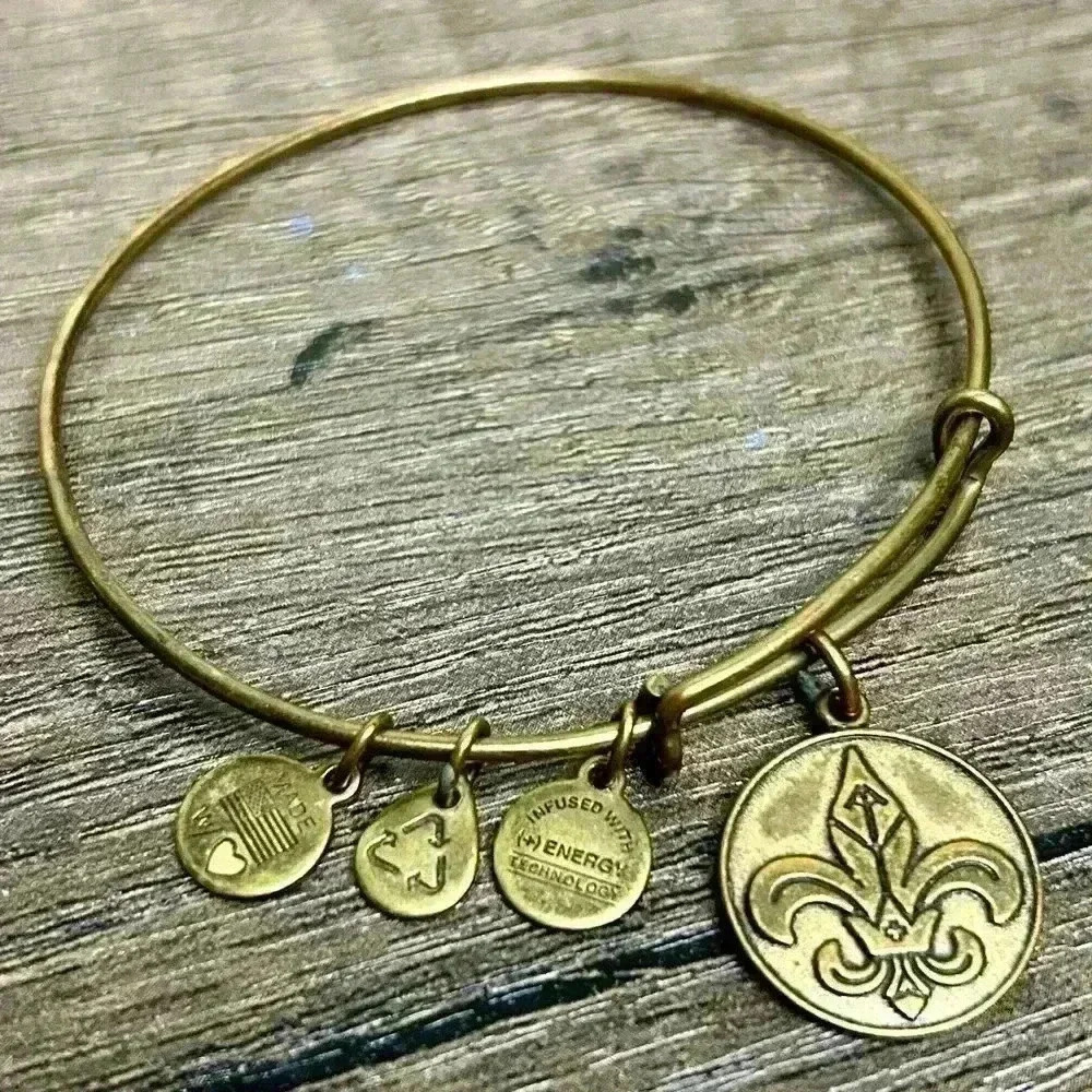 Alex and Ani (+) Energy 2014 Fleur De Lis Charm Bangle Bracelet - Picture 1 of 3